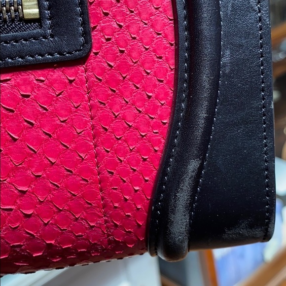 Celine Micro Luggage Python Embossed - Picture 6 of 8